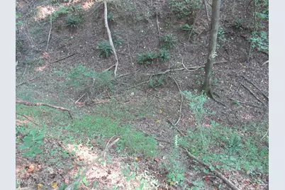 2643 Roberts Chapel Road, Goldston, NC 27252 - Photo 40