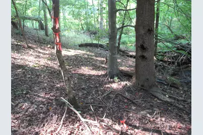 2643 Roberts Chapel Road, Goldston, NC 27252 - Photo 26