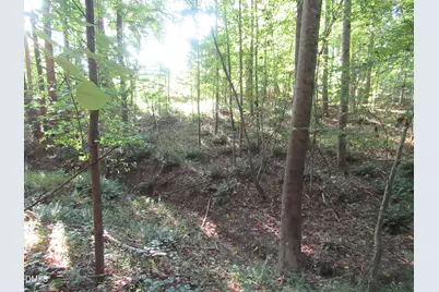 2643 Roberts Chapel Road, Goldston, NC 27252 - Photo 44