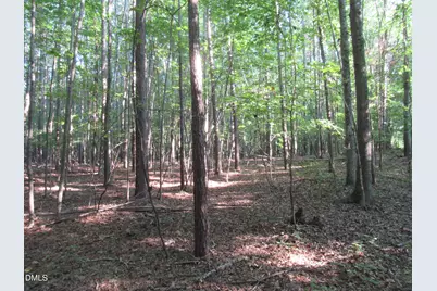 2643 Roberts Chapel Road, Goldston, NC 27252 - Photo 36