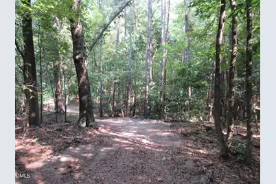 2643 Roberts Chapel Road, Goldston, NC 27252 - Photo 16