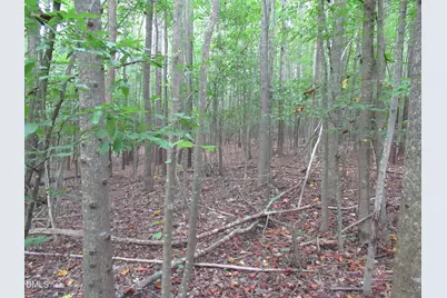 2643 Roberts Chapel Road, Goldston, NC 27252 - Photo 32