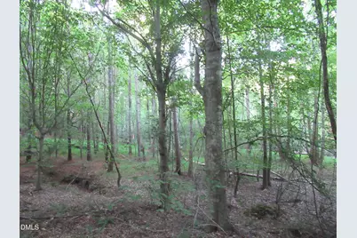 2643 Roberts Chapel Road, Goldston, NC 27252 - Photo 46