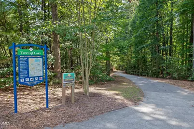 129 Hedgerow Court, Cary, NC 27513 - Photo 42