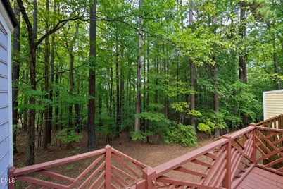 129 Hedgerow Court, Cary, NC 27513 - Photo 38