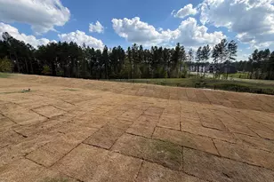 115 Carolina Spgs Blvd, Apex, NC 27539 - Photo 28