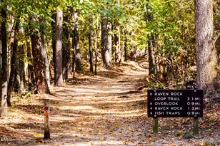149 Hank Wy, Angier, NC 27501 - Photo 26