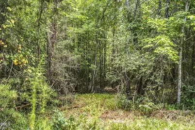 Lot 5 Green Mountain Road, Hillsborough, NC 27278 - Photo 12