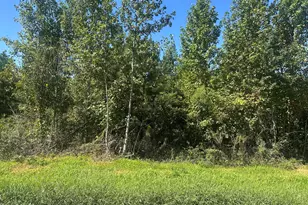 Lot 21 0 W Old Spring Hope Rd, Spring Hope, NC 27882 - Photo 1