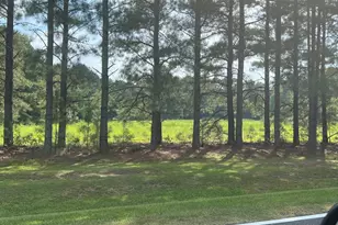 3449 Matthews Mill Pond Rd, Angier, NC 27501 - Photo 1