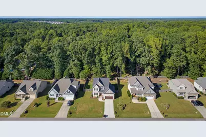 260 Paddy Lane, Youngsville, NC 27596 - Photo 40