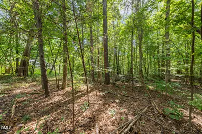 1556 Dogwood Drive, Oxford, NC 27565 - Photo 1