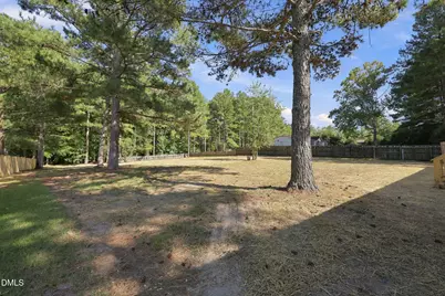 643 Lloyd Stewart Road, Broadway, NC 27505 - Photo 38