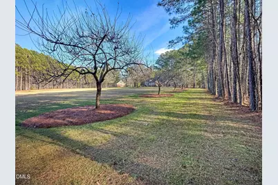 2769 Weaver Hill Drive, Apex, NC 27502 - Photo 50