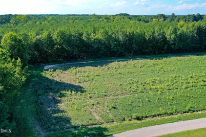 9.47 Acres US 401, Youngsville, NC 27596 - Photo 8
