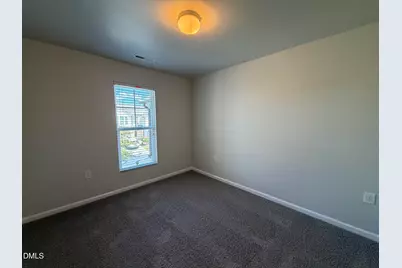 1053 Laceflower Drive, Durham, NC 27713 - Photo 10