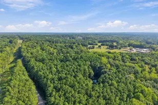 8525 Purnell Ridge Rd, Wake Forest, NC 27587 - Photo 52