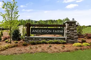1136 Pavo Path, Wendell, NC 27591 - Photo 4