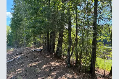 1331 City Road, Clayton, NC 27520 - Photo 14