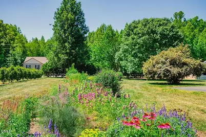 62 Red Berry Holly Lane, Hurdle Mills, NC 27541 - Photo 44