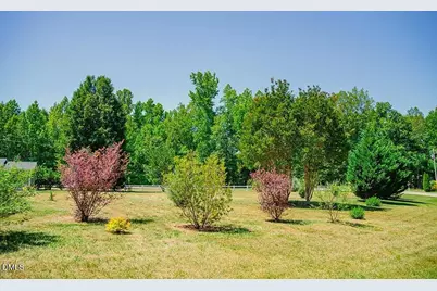 62 Red Berry Holly Lane, Hurdle Mills, NC 27541 - Photo 46