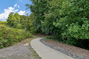 392 Granite Mill Blvd, Chapel Hill, NC 27516 - Photo 46