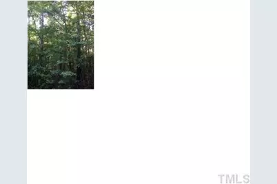 120 Rustler Road, Louisburg, NC 27549 - Photo 2