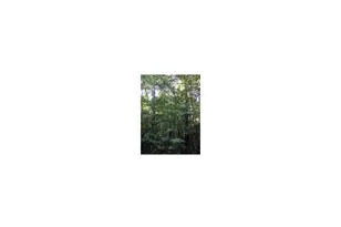 120 Rustler Rd, Louisburg, NC 27549 - Photo 1