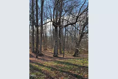 632 Whitt Town Road, Roxboro, NC 27574 - Photo 56
