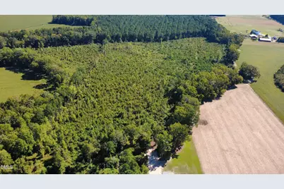 1528 Micro Road W, Selma, NC 27576 - Photo 24