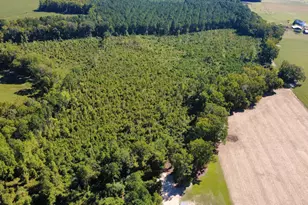 1528 Micro Rd W, Selma, NC 27576 - Photo 24