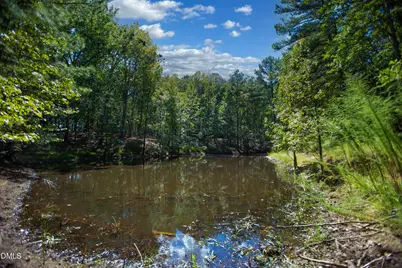 1716 Brassfield Road, Raleigh, NC 27614 - Photo 30