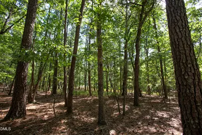 1716 Brassfield Road, Raleigh, NC 27614 - Photo 28