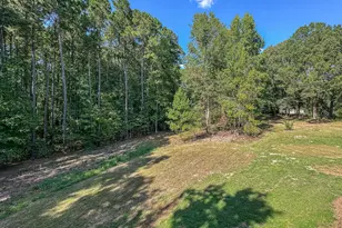 422 Old Halifax Rd, Louisburg, NC 27549 - Photo 46
