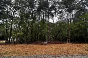Lot 47 Green Pine Rd, Cedar Grove, NC 27231 - Photo 1
