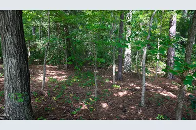 Tbd Jacobs Road, Maxton, NC 28364 - Photo 20