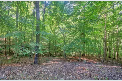 464 Beechmast, Pittsboro, NC 27312 - Photo 32