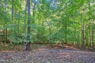 464 Beechmast, Pittsboro, NC 27312 - Photo 32