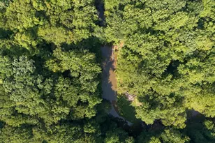 4592 Boogaboo Trail, Rougemont, NC 27572 - Photo 4