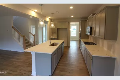 189 Margot Manor Drive, Benson, NC 27504 - Photo 6
