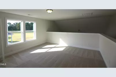 175 Margot Manor Drive, Benson, NC 27504 - Photo 16