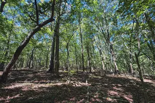 0 Ralph Moore Rd, Bear Creek, NC 27207 - Photo 1