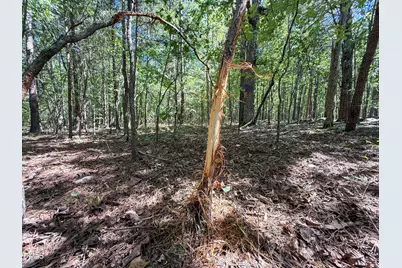 0 Ralph Moore Road, Bear Creek, NC 27207 - Photo 2