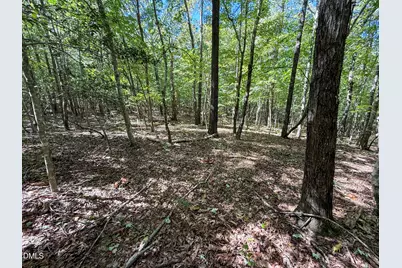 0 Ralph Moore Road, Bear Creek, NC 27207 - Photo 6