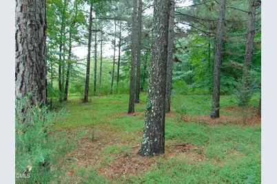 0 County Home Rd., Yanceyville, NC 27379 - Photo 16