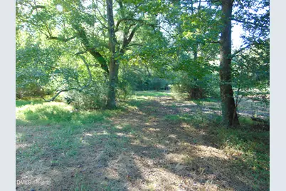 0 County Home Rd., Yanceyville, NC 27379 - Photo 28