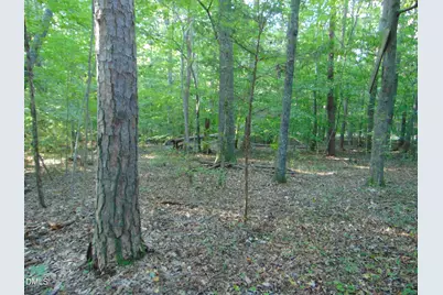 0 Allen Jarrett Drive, Mebane, NC 27302 - Photo 18