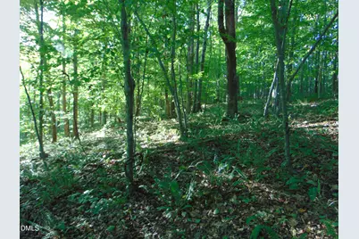 0 Allen Jarrett Drive, Mebane, NC 27302 - Photo 22