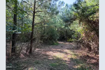 0 Maness Road, Robbins, NC 27325 - Photo 24