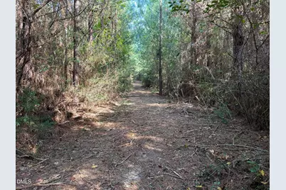 0 Maness Road, Robbins, NC 27325 - Photo 28